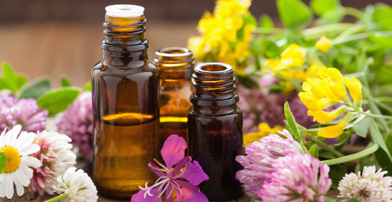 Plantes aromatiques et médicinales